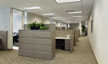 BioVex used in office buildings